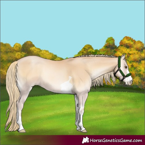 Horse Color:Red Onyx Pearl Mushroom