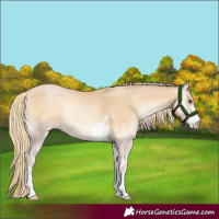Horse Color:Red Onyx Pearl Mushroom