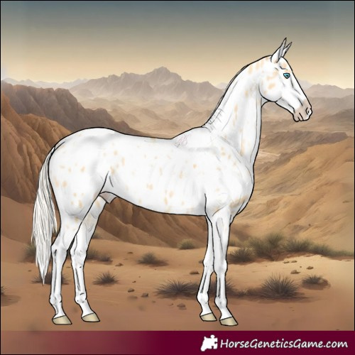 Horse Color:White Spotted Palomino Pearl Appaloosa 