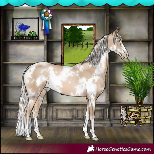 Horse Color:White Spotted Chocolate Palomino Pearl 
