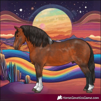 Horse Color:Bay Tobiano 