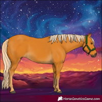 Horse Color:Gray Palomino