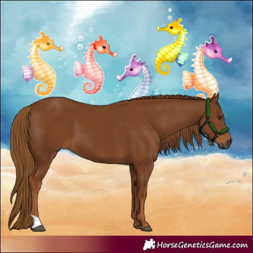 Horse Color:Gray Chestnut
