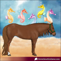 Horse Color:Gray Chestnut 