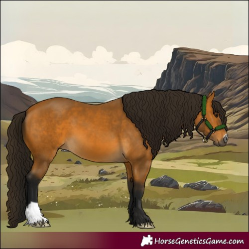 Horse Color:Gray Buckskin