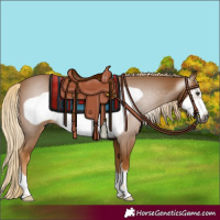 Horse Color:Gray Palomino Frame 