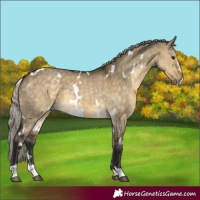 Horse Color:White Spotted Silver Buckskin Dun 