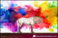 Horse Color:Silver Bay Roan Near Leopard 