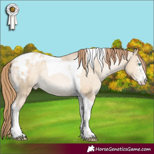 Horse Color:Buckskin Pearl Dun Sabino Tobiano Appaloosa Rabicano 