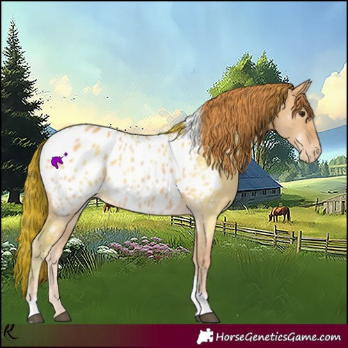 Horse Color:Red Dun Tobiano Blanket 
