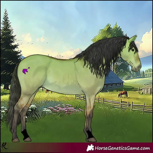 Horse Color:Bay Dun