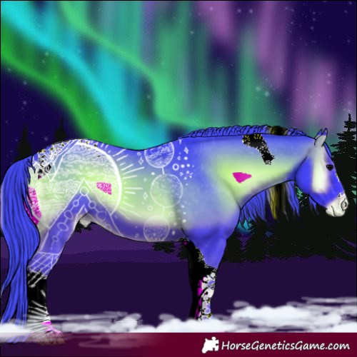 Horse Color:Watercolor Blue Onyx Tobiano Appaloosa 