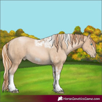 Horse Color:Chocolate Palomino Pearl Tobiano Frame and Smoky Black Pearl Tobiano Frame