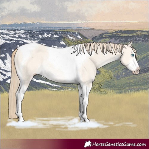 Horse Color:White Spotted Perlino Dun Tobiano Rabicano 