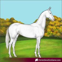 Horse Color:Palomino Pearl Sabino