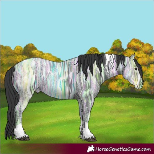 Horse Color:Black Ice Tobiano 