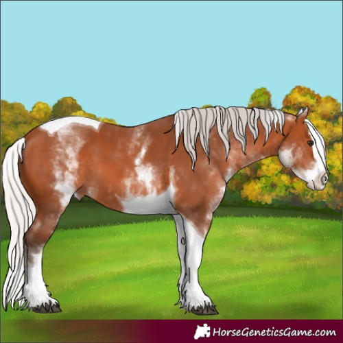 Horse Color:White Spotted Silver Bay Splash Tobiano 