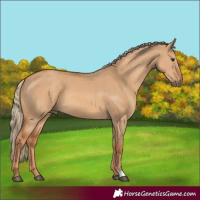 Horse Color:Red Dun 