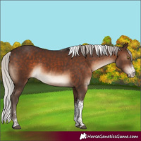 Horse Color:Silver Brown Sabino Tobiano