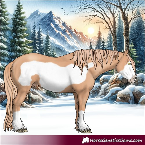 Horse Color:Gold Champagne Frame 