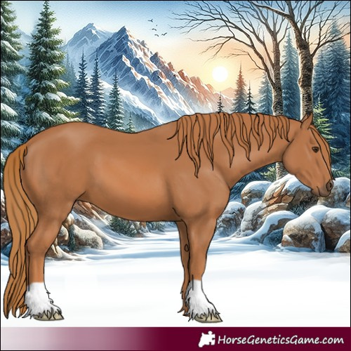 Horse Color:Chestnut 