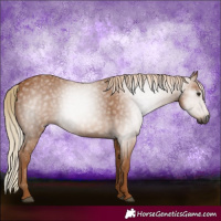 Horse Color:Gray Chestnut 