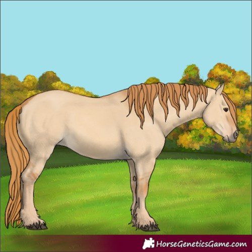 Horse Color:Red Dun