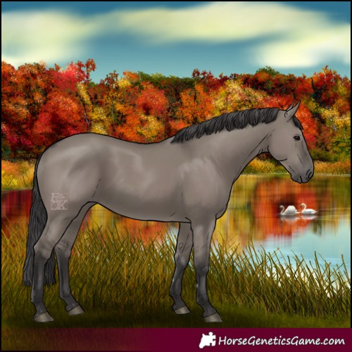 Horse Color:Smoky Grullo 