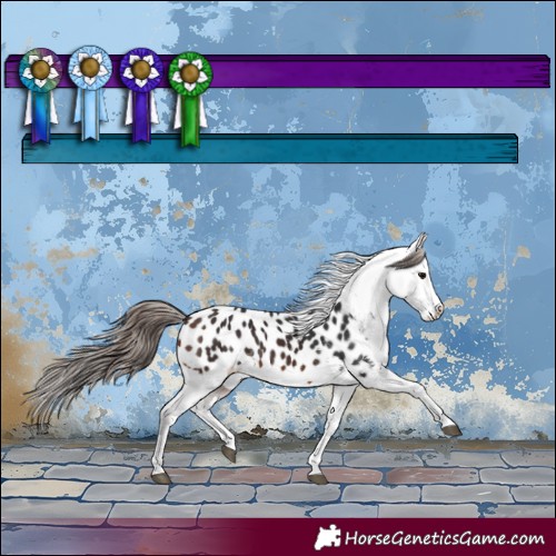 Horse Color:Brown Splash Blanket 