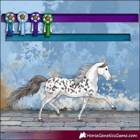 Horse Color:Brown Splash Blanket 