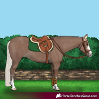 Horse Color:Silver Black 