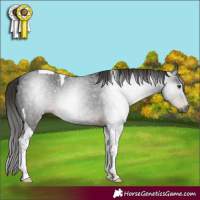 Horse Color:Gray Liver Chestnut Tobiano 