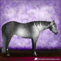 Horse Color:Gray Black 