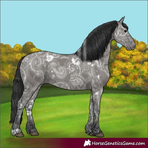 Horse Color:White Spotted Grullo Ice 