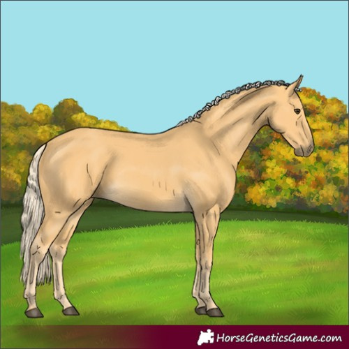 Horse Color:Palomino 