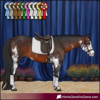 Horse Color:Brown Sabino