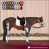 Horse Color:Brown Sabino