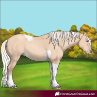 Horse Color:Silver Amber Champagne Dun Tobiano Rabicano