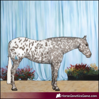 Horse Color:Silver Black Blanket 