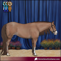 Horse Color:Classic Champagne Sabino
