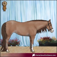 Horse Color:Classic Champagne Sabino