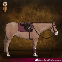 Horse Color:Classic Champagne Sabino