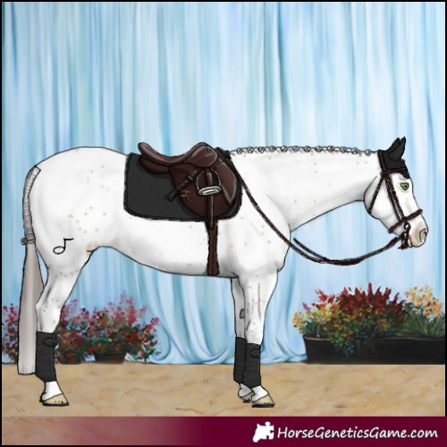 Horse Color:Sable Champagne Sabino Rabicano 