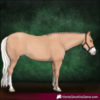 Horse Color:Silver Sable Champagne Sabino Rabicano 
