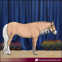 Horse Color:Silver Sable Champagne Sabino Rabicano 