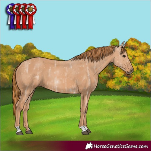 Horse Color:Chestnut Ice 