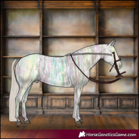 Horse Color:Silver Black Ice