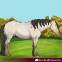 Horse Color:Sable Champagne Roan Dun 