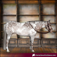Horse Color:White Spotted Liver Chestnut Snowflake Varnish