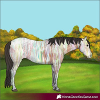 Horse Color:Bay Ice